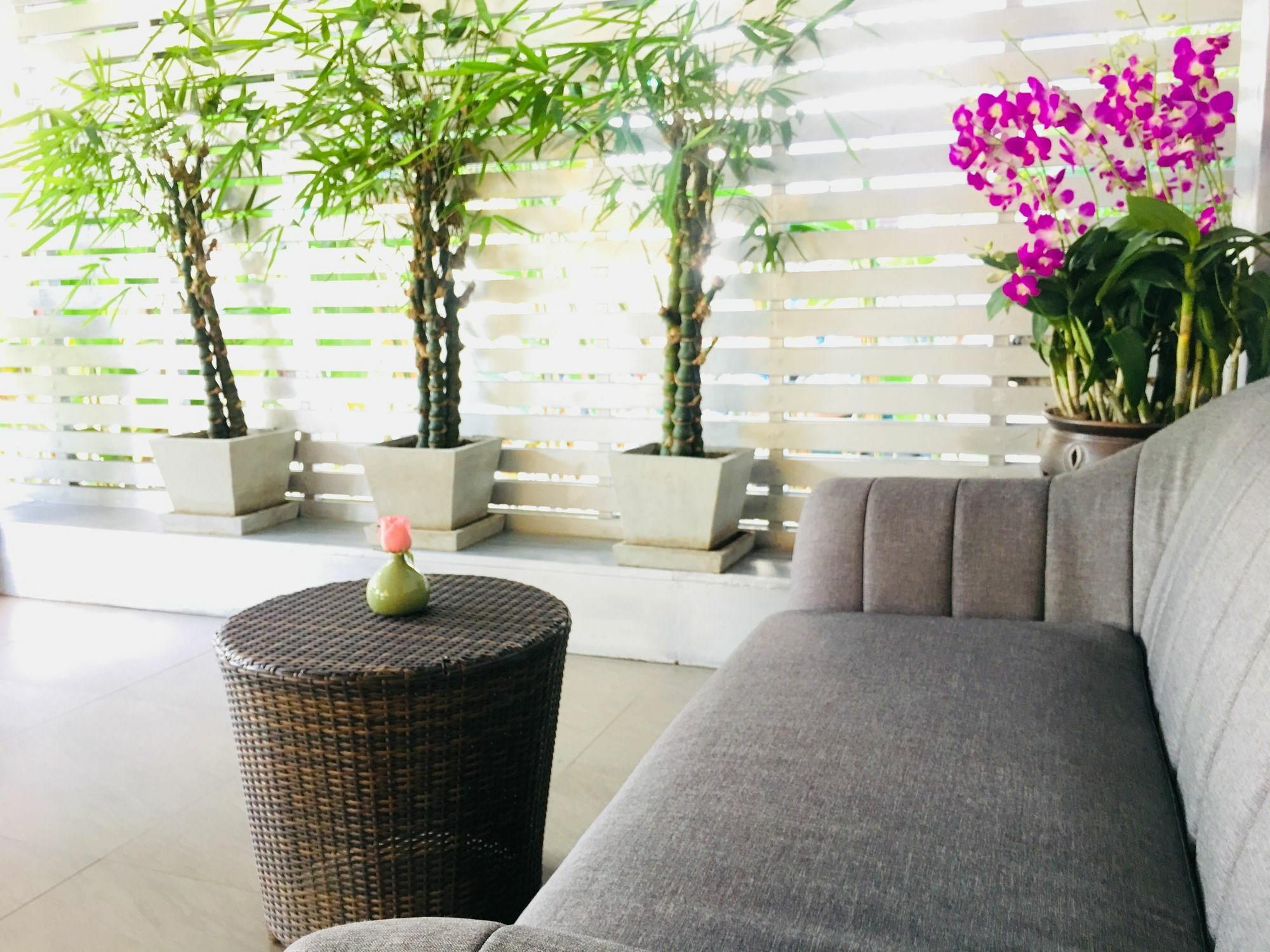 Kavil Guesthouse Чиангмай Екстериор снимка